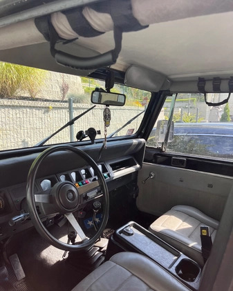 Jeep Wrangler cena 49500 przebieg: 166000, rok produkcji 1991 z Góra małe 191
